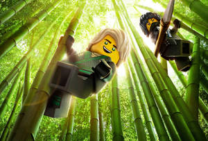 Lego Ninjago Lloyd And Nya Wallpaper