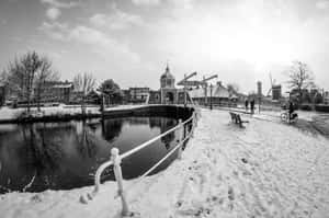 Leiden Winter Canal Scene Wallpaper