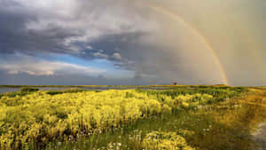 Lelystad Rainbow Over Wetlands Wallpaper