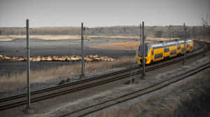 Lelystad Train Passing Through Countryside Wallpaper