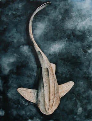 Leopard Shark Artistic Depiction Wallpaper