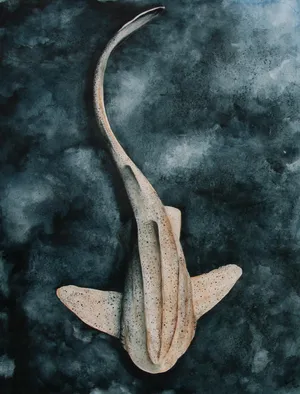 Leopard Shark Artistic Depiction Wallpaper