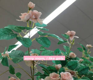 Lesbian Aesthetic Quote With Roses Wallpaper
