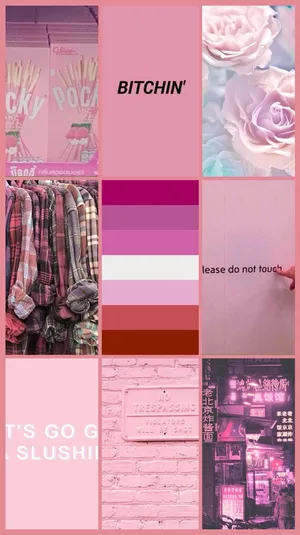 Lesbian Flag Pink Collage Wallpaper