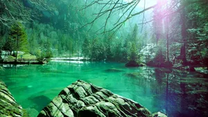 Let Go And Relax. Wallpaper