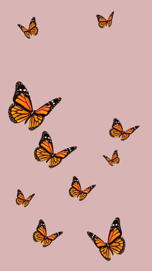 Let's Be Beautiful And Free Like A Butterfly! Wallpaper