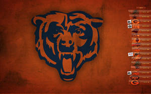 Let's Go Bears! Wallpaper