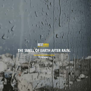 Let The Rainy Days Wash Away Your Worries And Care. Wallpaper