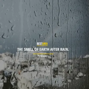 Let The Rainy Days Wash Away Your Worries And Care. Wallpaper