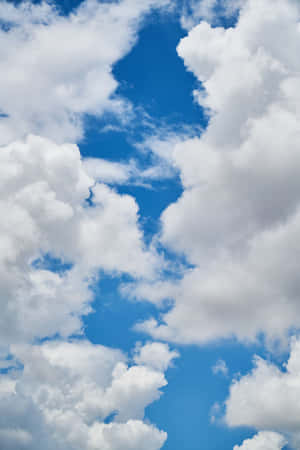 Let Your Creativity Flow With The Trendy Iphone Wallpaper