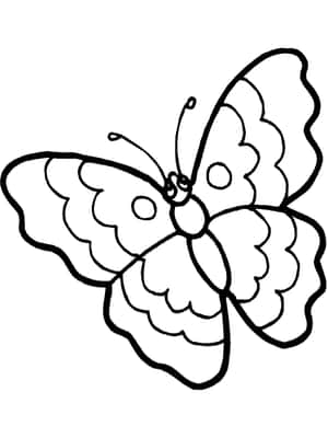 Let Your Imagination Fly With Butterfly Coloring Pages! Wallpaper