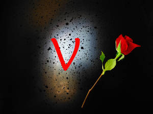 Letter V And Rose Wallpaper