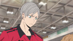 Lev Haiba In Action On The Volleyball Court Wallpaper