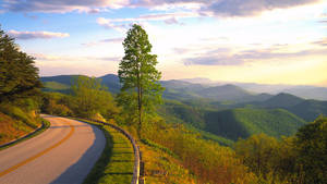 Lexington Nature Hd Wallpaper