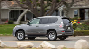 Lexus Gx 460 - Luxury And Performance In One Versatile Suv Wallpaper