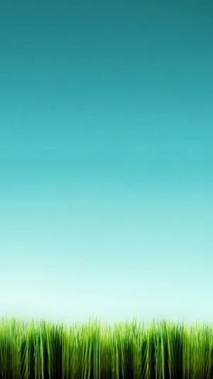 Lg G4 Tall Grass Wallpaper