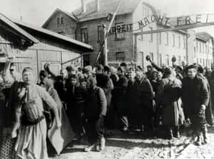 Liberation Of The Auschwitz-birkenau, 1945 Wallpaper