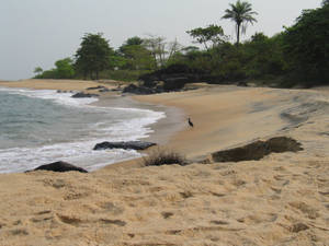 Liberia Seashore Wallpaper