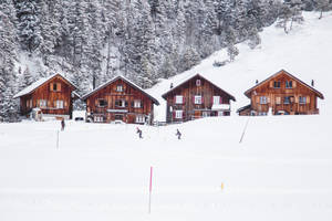 Lichtenstein Houses In Snow Wallpaper