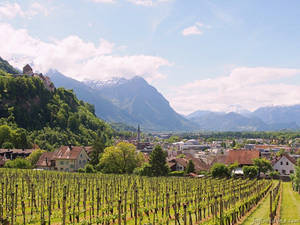 Liechtenstein Crop Field Wallpaper