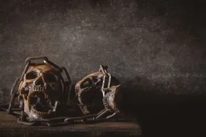 Life And Death - A Vivid Illustration Of The Circle Of Life Wallpaper