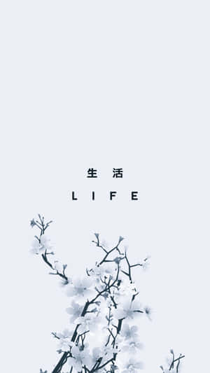 Life Cherry Blossoms Japanese Minimalist Wallpaper