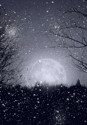 Life Is A Journey Wallpaper