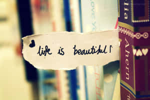 Life Is Beautiful, Book, Book Shelf, Book Shelf, Book Shelf, Book Shelf, Book Shelf, Book Shelf, Book Shelf, Book Shelf, Book Shelf Wallpaper