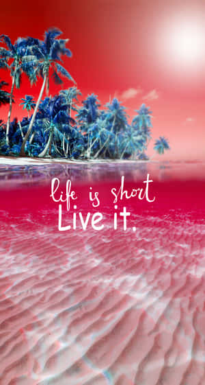 Life Is Short Live It Wallpaper Wallpaper