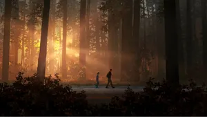 Life Is Strange 2 Walking Forest Wallpaper