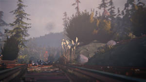 Life Is Strange Lying On Tracks Wallpaper