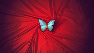 Light Blue Butterfly Wallpaper