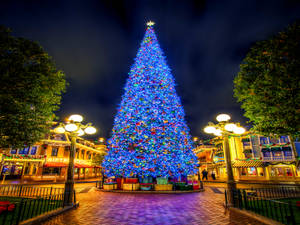 Light Blue Christmas Tree Wallpaper