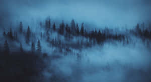 Light Blue Mist Dark Forest Laptop Wallpaper