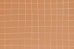 Light Brown Distorted Grid Wallpaper
