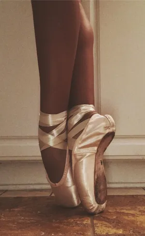 Light Brown Pointe Shoes Wallpaper