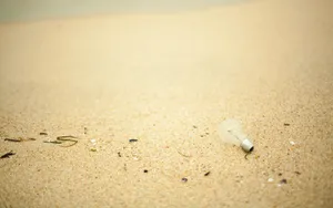 Light Bulb Over Sands Wallpaper