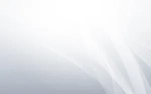 Light Gray And White Gradient Wallpaper