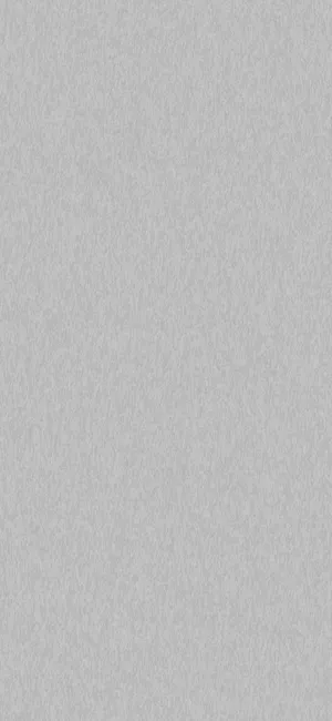 Light Gray Iphone In Portrait Orientation Wallpaper