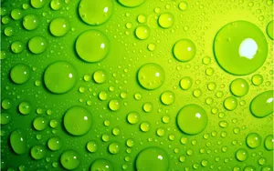 Light Green Droplets Wallpaper