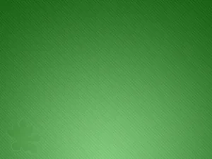 Light Green Lined Wallpaper