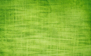 Light Green Plain Cloth Texture Wallpaper
