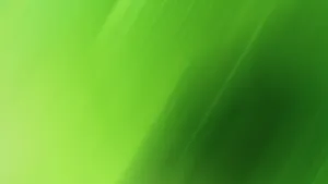 Light Green Plain Diagonal Abstract Wallpaper