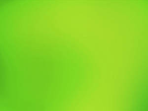 Light Green Small Gradient Wallpaper