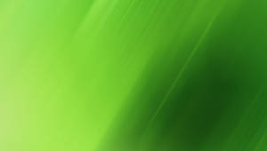 Light Green To Dark Wallpaper