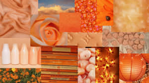 Light Orange Aesthetic Collage Wallpaper
