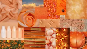 Light Orange Aesthetic Collage Wallpaper