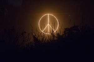 Light Peace Symbol On Field Wallpaper