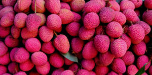 Light Pink Litchis Wallpaper