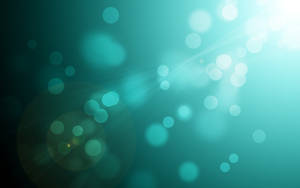 Light Turquoise Circles Wallpaper